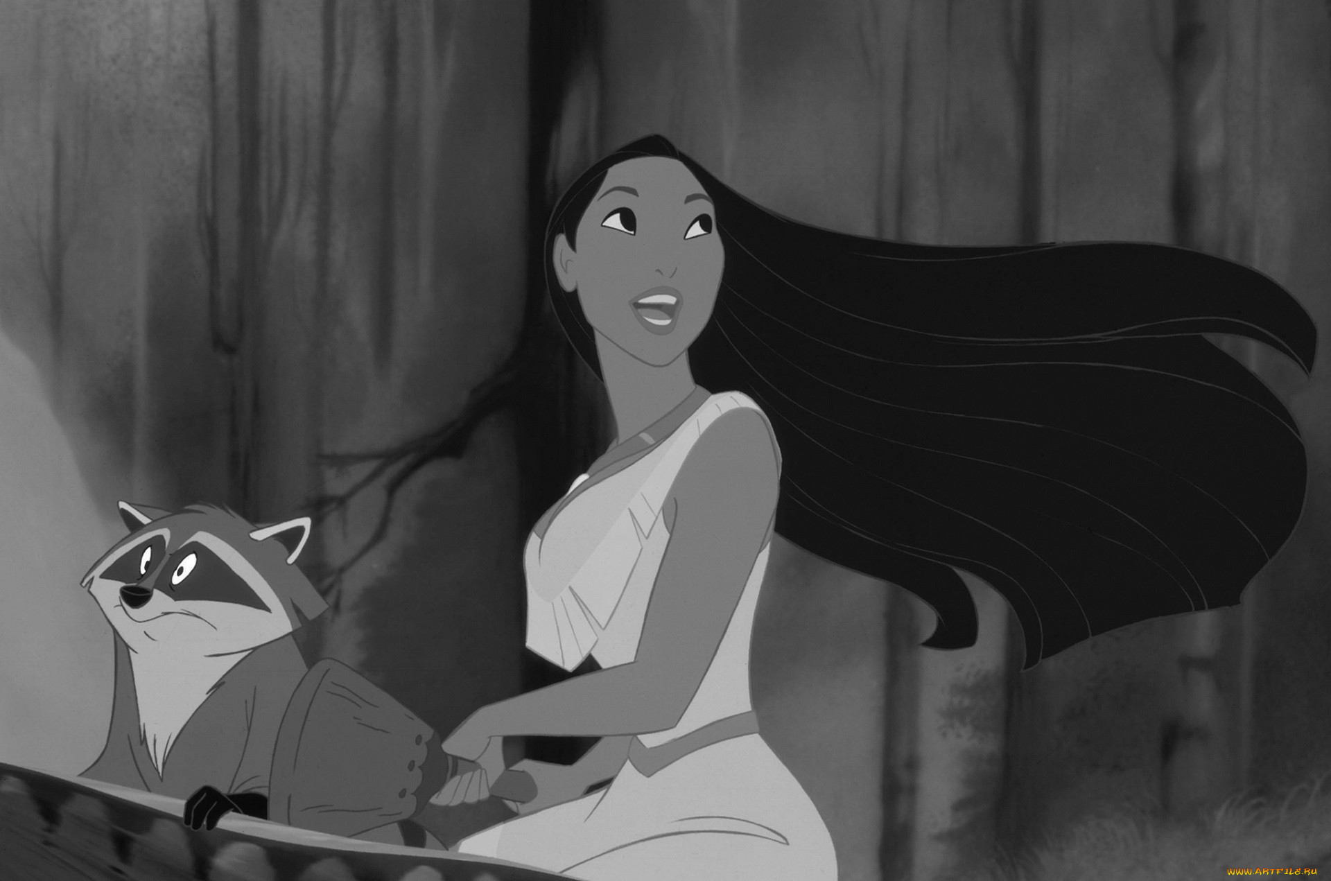 pocahontas , 1995, , pocahontas, , , , , , 